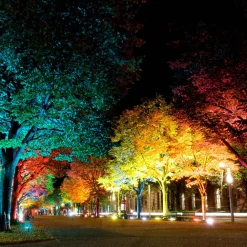 tint Udendørs Spot|Gadebelysning > LED udendørs spotlight med farvetone Flores XL, IP44, CCT, RGB