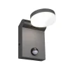 Trio Lighting Væglampe Med Sensor > LED udendørs væglampe Adour, antracit, sensor, kipbar, CCT