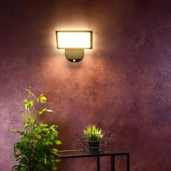 Væglampe Med Sensor ^ Deko-Light LED udendørs væglampe Alkes L med sensor, 30 cm