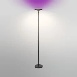 LEDVANCE SMART+ Gulvlamper|Gulvlamper > WiFi LED-gulvlampe up/down RGBW