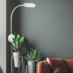 Briloner Væglamper|Væglamper > LED-væglampe 2177016 med dæmper, hvid