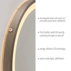 Paul Neuhaus Møbel Og Interiør > LED-vægspegel VIDRO, bronze, Ø 46 cm, powerbank, afbryder