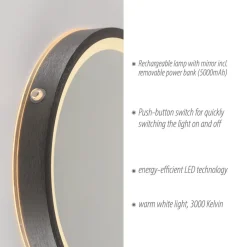 Paul Neuhaus Møbel Og Interiør > LED-vægspegel VIDRO, grå, Ø 26 cm, powerbank, afbryder