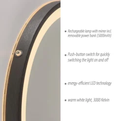 Paul Neuhaus Møbel Og Interiør > LED-vægspejl VIDRO, grå, Ø 46 cm, powerbank, afbryder