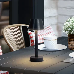 Lindby Dekorationsbelysning|Terrassebelysning > LED genopladelig lampe Gaja, sort, USB, IP44, RGBW, dæmpbar.