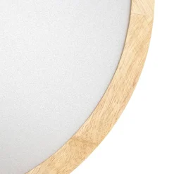 Gang|Loftlamper ^ Lindby LED-loftlampe Milada, eg, CCT, fjernbetjening