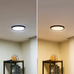 Lindby Gang|Loftlamper > LED-loftlampe Pravin, Ø 23 cm, CCT, sort
