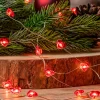 Dekorationsbelysning ^ Lindby LED lyskæde Titciana, hjerte, valentinsdag, 320 cm