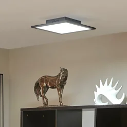 Arbejdsrum/Kontor|Gang ^ Lindby LED-panel Lamin, sort, 30 cm, CCT, dæmpbar, fjernbetjening