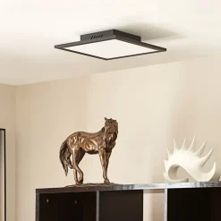 Arbejdsrum/Kontor|Gang ^ Lindby LED-panel Lamin, sort, 30 cm, CCT, dæmpbar, fjernbetjening