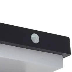 Lindby Solcelle Lampe Med Sensor|Væglampe Med Sensor > LED solcellelampe Eleazar, sort, sensor, dæmpbar