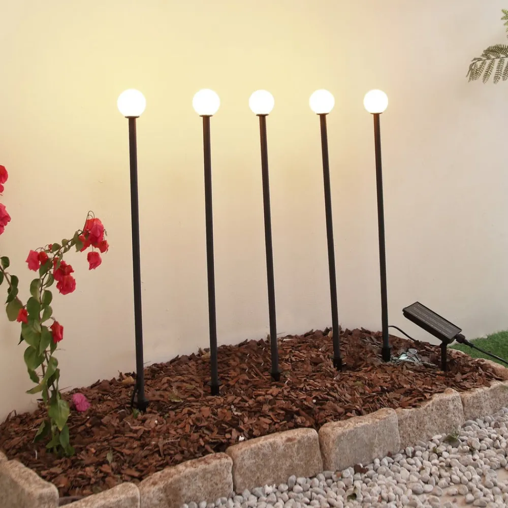 Lindby Solcellelamper|Udendørs Spot > LED-solcellelampe Freydis, sæt med 5, sort, 2.000 K