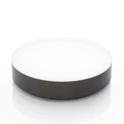 Lindby Terrassebelysning|Udendørs Loftlamper > LED udendørs loftlampe Lahja, antracit, sensor, IP65
