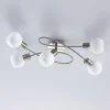 Lindby Gang|Loftlamper > loftlampe Elaina, 65 cm, 5 lyskilder, nikkel, glas, E14