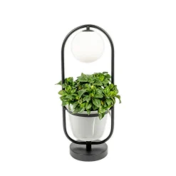 Bordlamper ^ Lindby Orna bordlampe, 1 lyskilde, blomsterampel