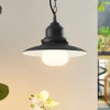 Lindby Udendørs Pendellamper > udendørs hængelampe Roisin, antracit, metal, Ø 32cm