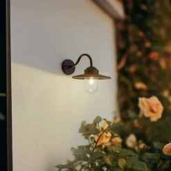 Lindby Terrassebelysning|Væglamper > udendørs væglampe Bilma, rustfarvet, glas, 29 cm