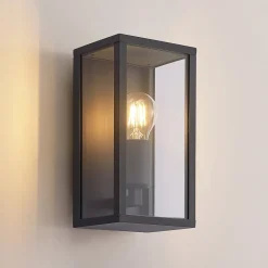 Terrassebelysning|Væglamper ^ Lindby udendørs væglampe Peldar, klar, 1 lyskilde, 26 cm, metal