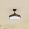 Lindby Loftventilatorer > Lindy LED-loftventilator Oras, sort, DC, støjsvag, 107 cm
