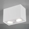 Trio Lighting Spotlights > Loftlampe Biscuit, 2 lyskilder, hvid