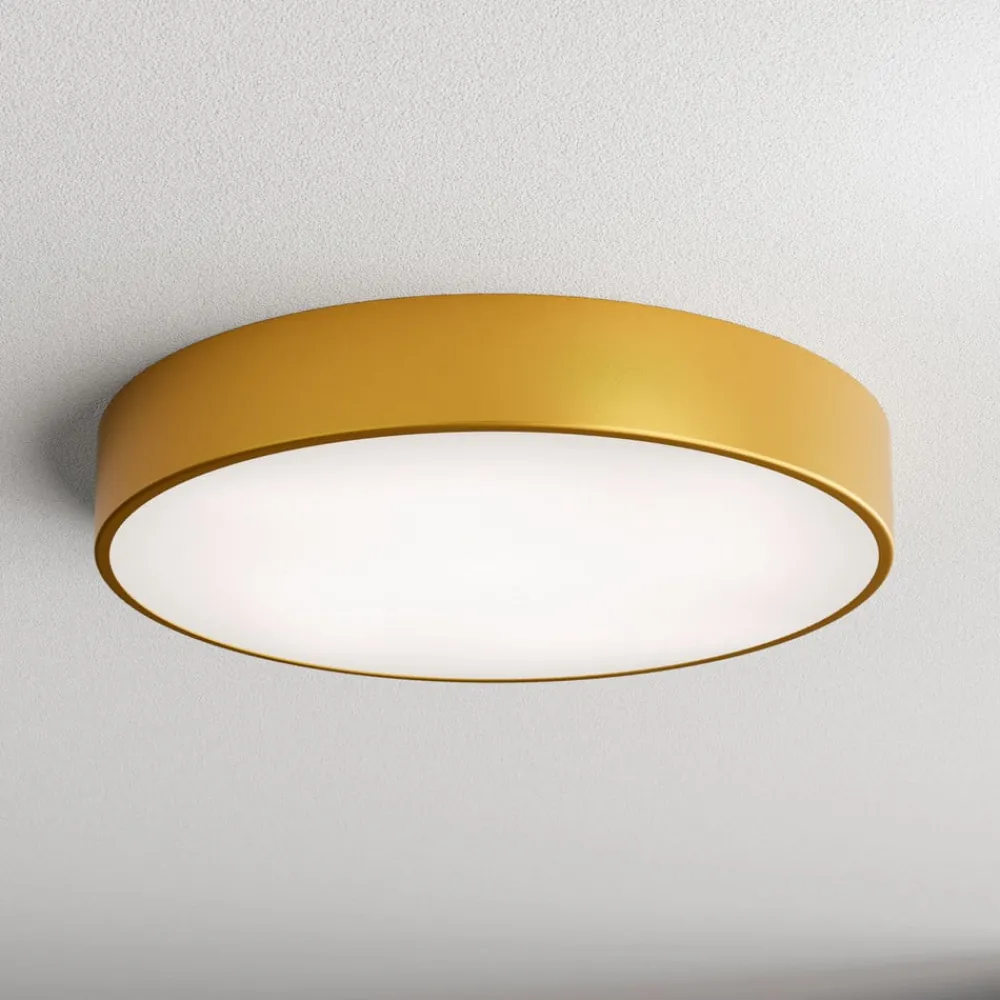Loftlamper|Loftlamper ^ TEMAR LIGHTING Loftlampe Cleo, Ø 50 cm, IP54, guldfarvet, metal, E27
