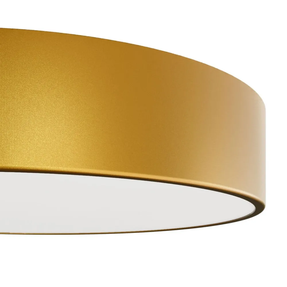 Loftlamper|Loftlamper ^ TEMAR LIGHTING Loftlampe Cleo, Ø 50 cm, IP54, guldfarvet, metal, E27