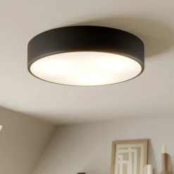 Gang|Loftlamper ^ TEMAR LIGHTING Loftlampe Cleo, Ø 40 cm, IP20, sort, metal, E27