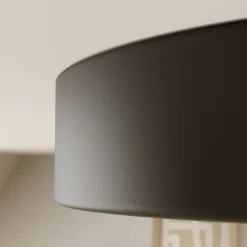 Gang|Loftlamper ^ TEMAR LIGHTING Loftlampe Cleo, Ø 40 cm, IP20, sort, metal, E27