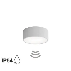 Loftlamper ^ TEMAR LIGHTING Loftlampe Cleo 200, grå, sensor, IP54, Ø 20 cm, metal