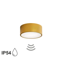 TEMAR LIGHTING Loftlamper > Loftlampe Cleo 200, guld, sensor, IP54, Ø 20 cm, metal
