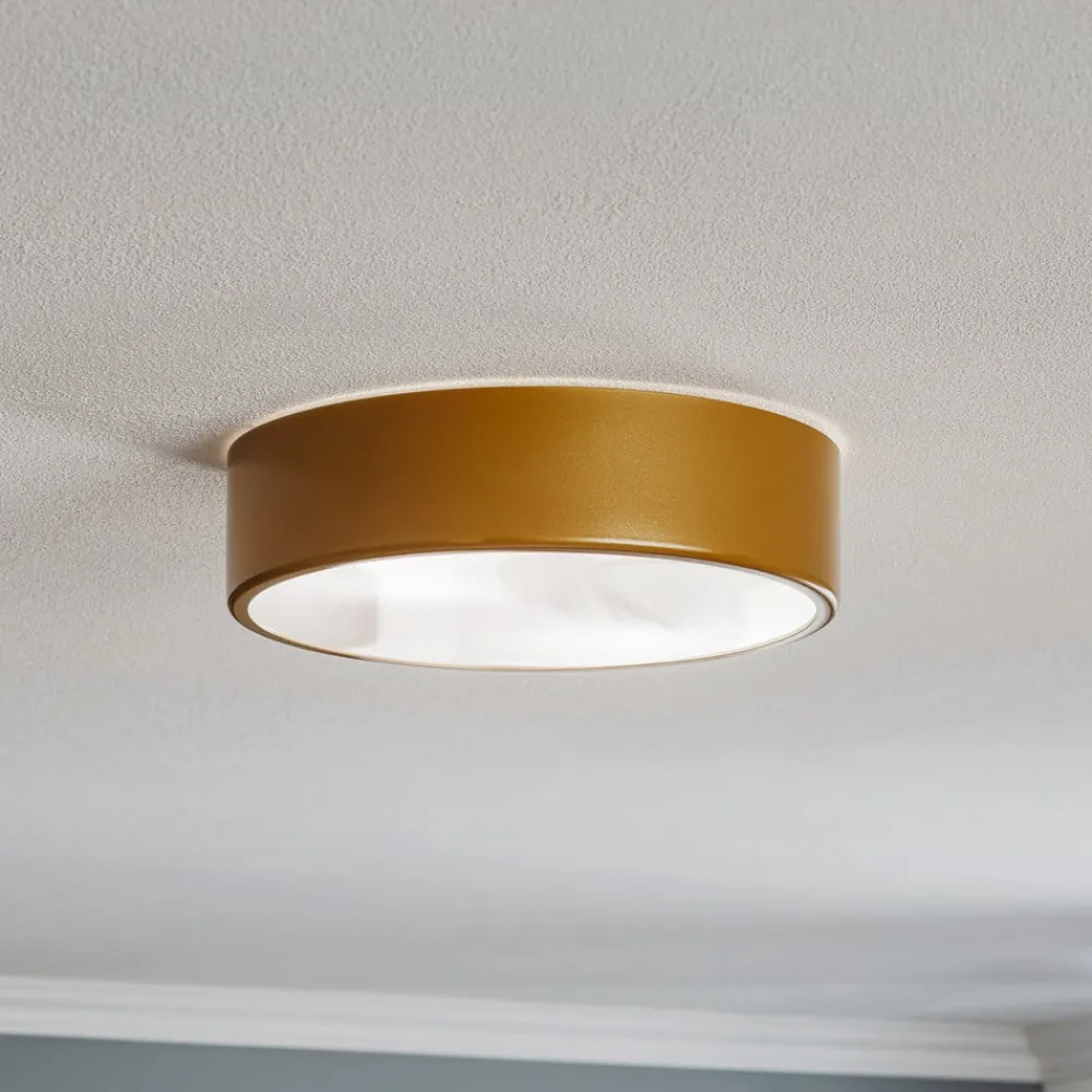 Loftlamper ^ TEMAR LIGHTING Loftlampe Cleo 300, IP54, Ø 30 cm guld
