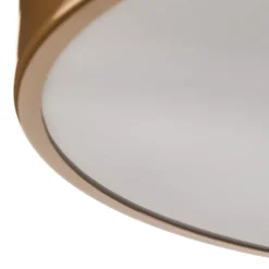 Loftlamper ^ TEMAR LIGHTING Loftlampe Cleo 400, IP54, Ø 40 cm guld