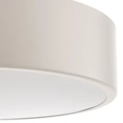 TEMAR LIGHTING Loftlamper > Loftlampe Cleo 300, IP54, Ø 30 cm hvid