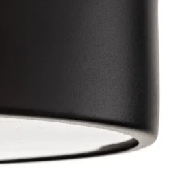 TEMAR LIGHTING Loftlamper|Loftlamper > Loftlampe Cleo 300, IP54, Ø 30 cm sort