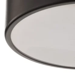 TEMAR LIGHTING Loftlamper|Loftlamper > Loftlampe Cleo 300, IP54, Ø 30 cm sort