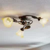 ONLI Loftlamper|Loftlamper > Loftlampe Miranda med 3 lyskilder, bronze