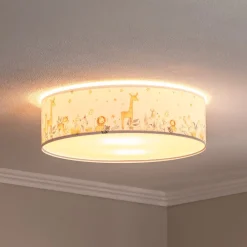 Euluna Loftlamper > Loftlampe til børneværelse Max, Ø 50 cm