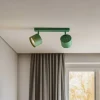 Argon Gang|Loftlamper > Loftspot Chloe justerbar med 2 lyskilder, grøn