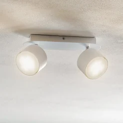 Eko-Light Loftlamper|Loftlamper > Loftspot Cloudy med 2 lyskilder, hvid