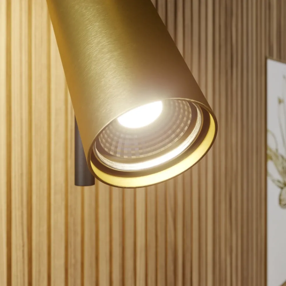 SIGMA Spotlights > Loftspot Leda 2, 2 lyskilder, sort-guld