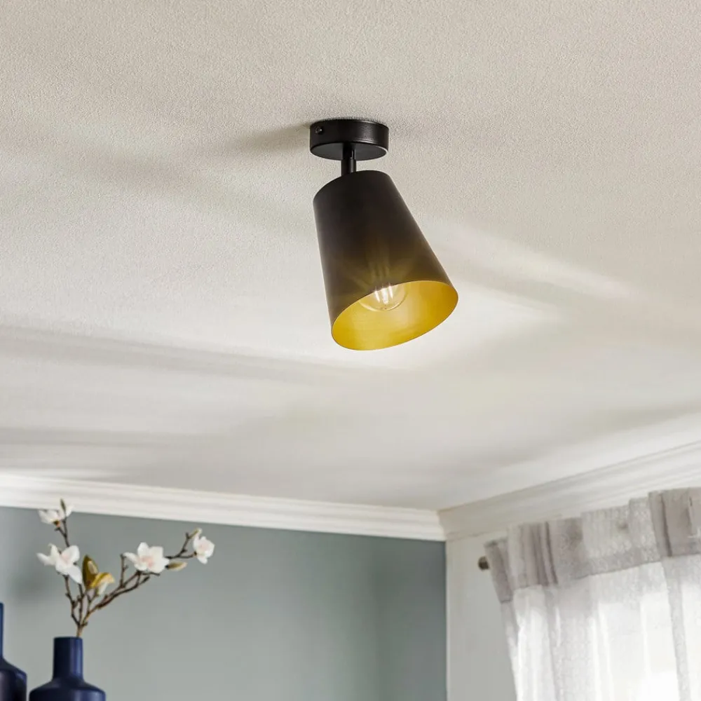 EMIBIG LIGHTING Spotlights > Loftspot Prism, 1 lyskilde, sort/guld