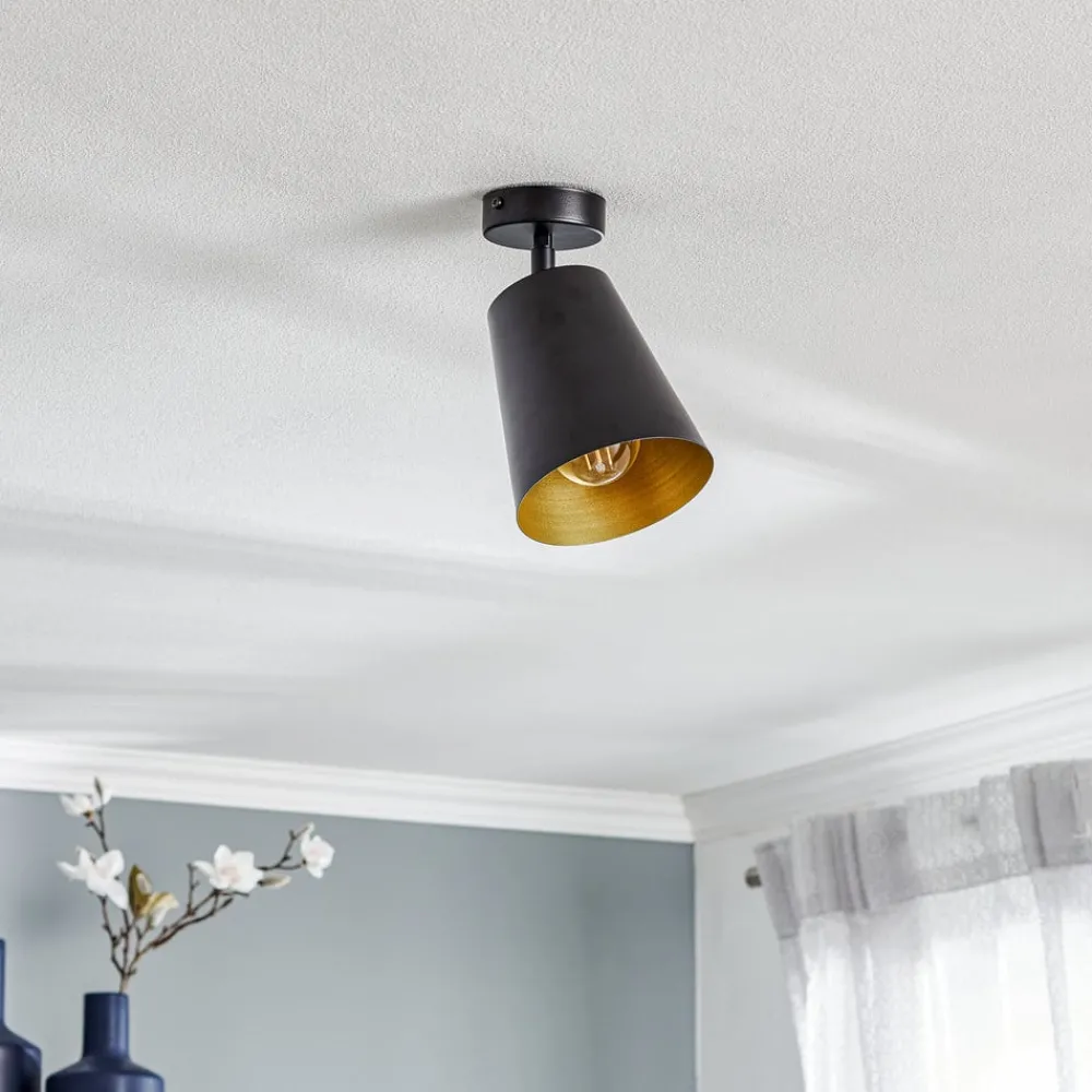 EMIBIG LIGHTING Spotlights > Loftspot Prism, 1 lyskilde, sort/guld
