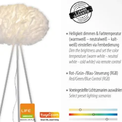 LOLA Smart Gulvlamper > Naomi LED-gulvlampe app CCT RGB