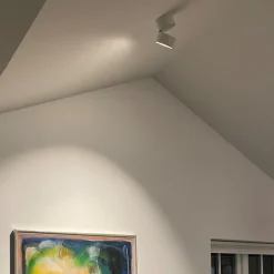 Spotlights ^ LOOM DESIGN Aim LED-loftspot 1 lyskilde hvid
