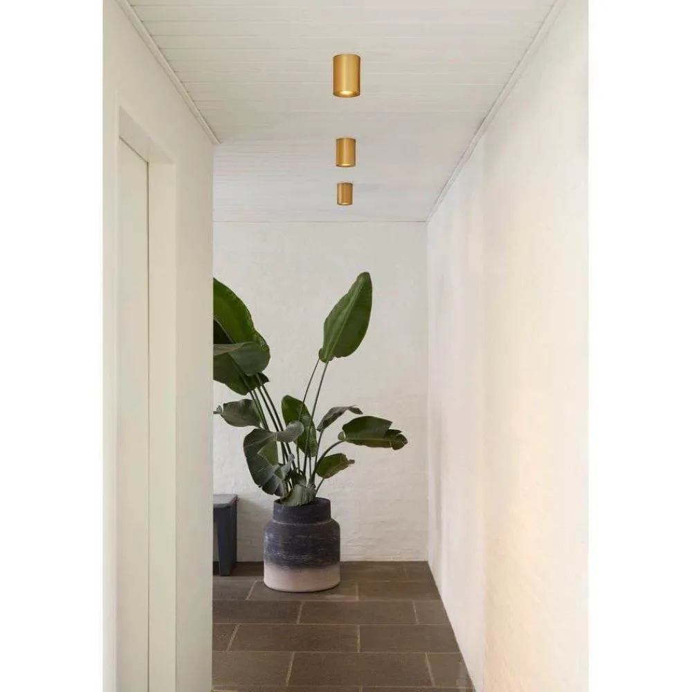 Udendørs Loftlamper ^ LOOM DESIGN LED-loftlampe Nyx, messing, IP54