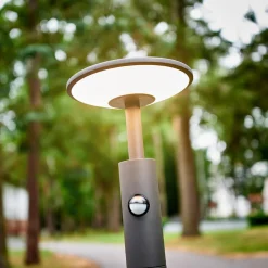 Lucande Gadebelysning Med Sensor|Terrassebelysning > Fenia LED-vejlampe, 100 cm, sensor, IP54, antracit