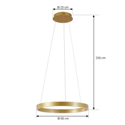 Lucande Pendellamper|Pendellamper > LED-hængelampe Yonam, Ø 60 cm, 1 lyskilde, guld, CCT