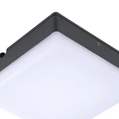 Lucande Udendørs Loftlamper > LED-loftlampe Thilo, 16 cm, antracit, sensor, IP54