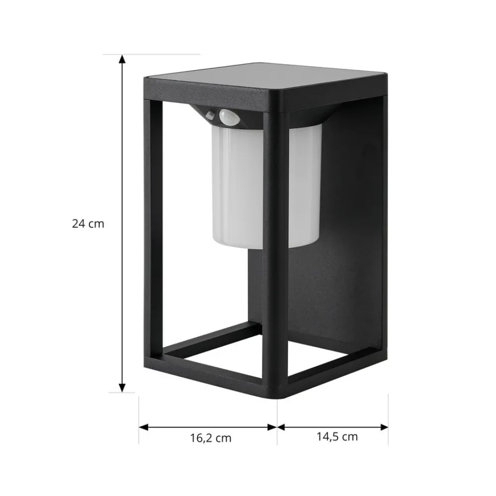 Lucande Solcelle Lampe Med Sensor|Væglamper > LED-solcellelampe Tilena, sort, aluminium, sensor