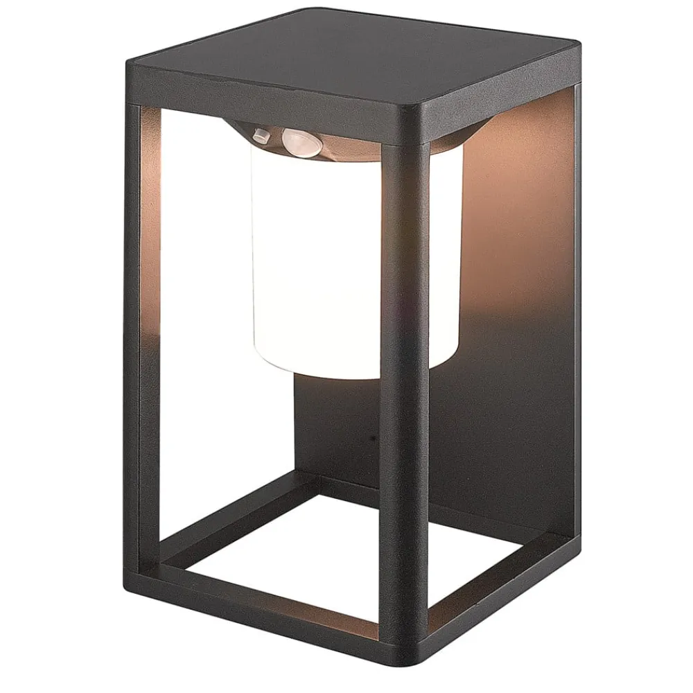 Lucande Solcelle Lampe Med Sensor|Væglamper > LED-solcellelampe Tilena, sort, aluminium, sensor